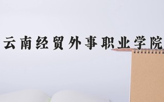 2024云南经贸外事职业学院录取分数线：浙江最低302分