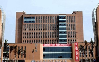 2024年四川希望汽车职业学院录取分数线，河北最低254分