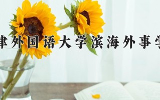2024年天津外国语大学滨海外事学院录取分数线，宁夏最低462分