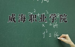 2025年威海职业学院在四川计划招生人数（附学费及专业录取分)
