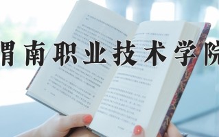 2025年渭南职业技术学院在四川计划招生人数（附学费及专业录取分)