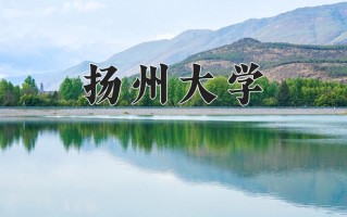阿拉伯语专业学费多少？附江苏2024年招收的大学