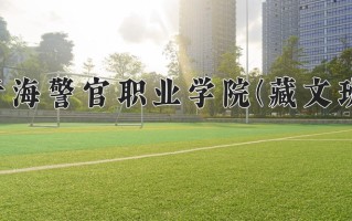 2024年青海警官职业学院(藏文班)录取分数线，青海最低412分