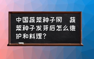 中国蔬菜种子网(蔬菜种子发芽后怎么维护和料理？)