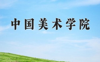 2025年中国美术学院在四川计划招生人数（附学费及专业录取分)