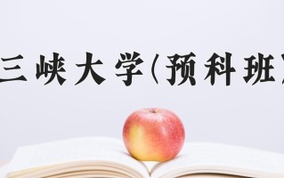 2024三峡大学(预科班)录取分数线，重庆录取最低分520