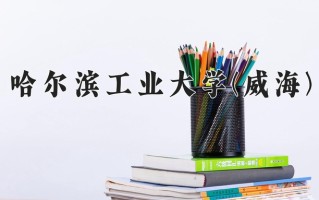 哈尔滨工业大学(威海)学费多少钱一年：6600-60000元/年（2025填报参考）