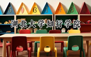 2024湖北大学知行学院录取分数线：江苏最低468分