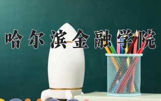 2024年哈尔滨金融学院录取分数线，新疆最低356分
