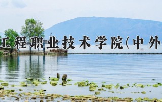 2024年重庆工程职业技术学院(中外合作)录取分数线，青海最低295分
