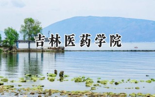 吉林医药学院2024在江苏录取分数线是多少？最低489分/最高550分