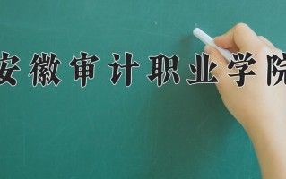 2024安徽审计职业学院录取分数线：浙江最低406分