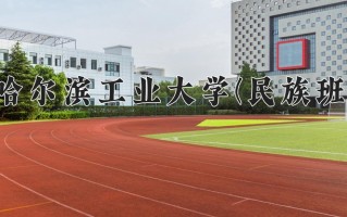 2024哈尔滨工业大学(民族班)录取分数线，重庆录取最低分649