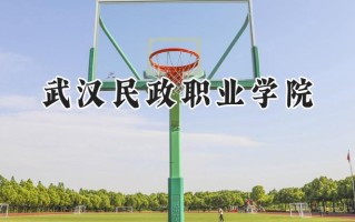 2024武汉民政职业学院录取分数线：江苏最低401分