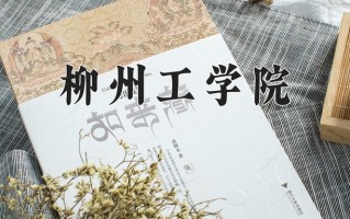 2024柳州工学院录取分数线：浙江最低468分