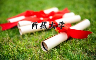 2024年西藏大学录取分数线，河北最低523分