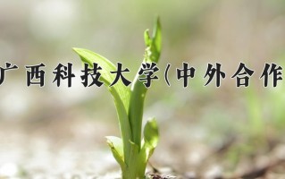 2024年广西科技大学(中外合作)录取分数线，内蒙古最低395分