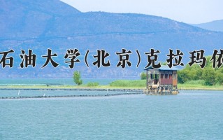 2024年中国石油大学(北京)克拉玛依校区录取分数线，宁夏最低467分