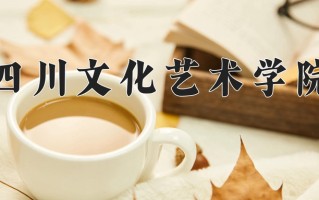 2024四川文化艺术学院录取分数线，重庆录取最低分180