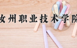 汝州职业技术学院学费多少钱一年：3700-4200元/年（2025填报参考）