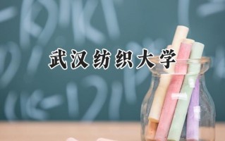 武汉纺织大学2024在浙江录取分数线是多少？最低493分/最高599分