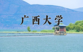 2025年陕西533分左右能报的大学名单
