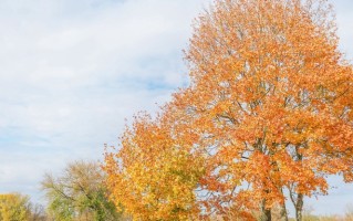 电机电器智能化专业就业形势揭秘！附2025年前景与方向全解析