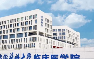 安徽医科大学临床医学院王牌专业排名-含2024年全国各省录取最低分数线