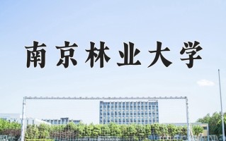 南京林业大学好不好？附南京林业大学最好的专业排名