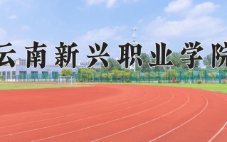 2024云南新兴职业学院录取分数线：浙江最低315分