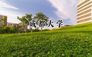成都大学2024在青海录取分数线是多少？最低426分/最高487分