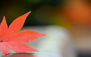 光源与照明专业就业形势揭秘！附2025年前景与方向全解析