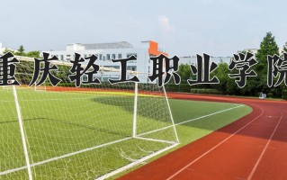 2024重庆轻工职业学院录取分数线：浙江最低313分