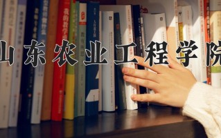 2024年山东农业工程学院录取分数线，内蒙古最低390分