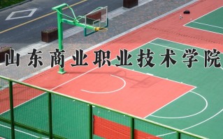 2024年山东商业职业技术学院录取分数线，内蒙古最低254分