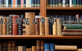2024年东北师范大学(中外合作)录取分数线，内蒙古最低493分