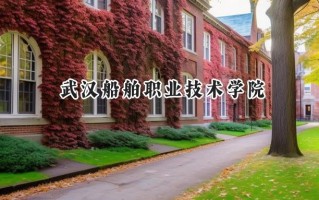 2024武汉船舶职业技术学院录取分数线：山西最低337分