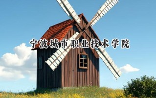 宁波城市职业技术学院2024在浙江录取分数线是多少？最低445分/最高496分