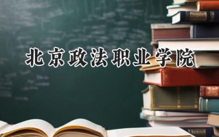 北京政法职业学院2024在山东录取分数线是多少？最低462分/最高492分