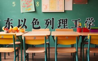 2024广东以色列理工学院录取分数线：浙江最低605分