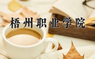 2024年梧州职业学院录取分数线，青海最低286分