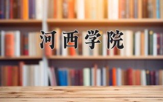 河西学院王牌专业排名-含2025年全国各省录取最低分数线