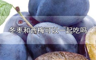 冬枣和西梅可以一起吃吗