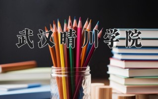2024年武汉晴川学院录取分数线，内蒙古最低368分