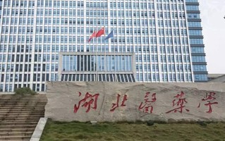 湖北医药学院王牌专业排名-含2025年全国各省录取最低分数线