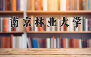 家具设计与工程专业学费多少？附江苏2024年招收的大学