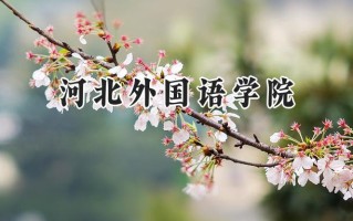 河北外国语学院2024在浙江录取分数线是多少？最低521分/最高528分