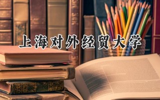 上海对外经贸大学2024在山东录取分数线是多少？最低566分/最高606分