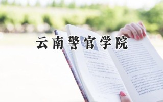 2024云南警官学院录取分数线：河南最低506分