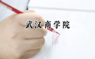 2024武汉商学院录取分数线：陕西最低325分